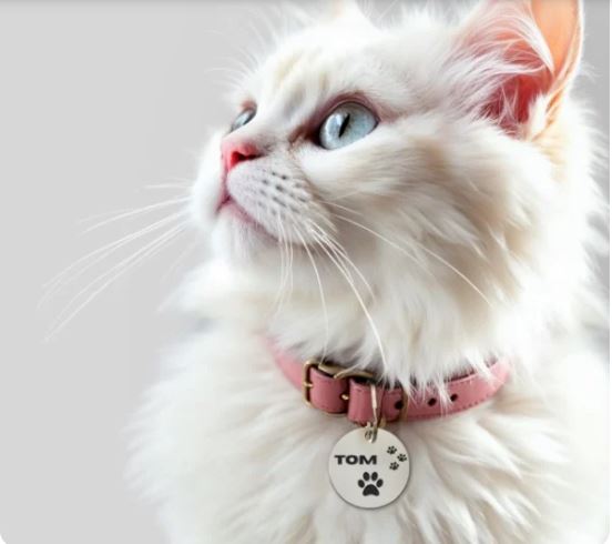Explore Oasis Customized Front & Back Printed Pet Tags - Unisex White