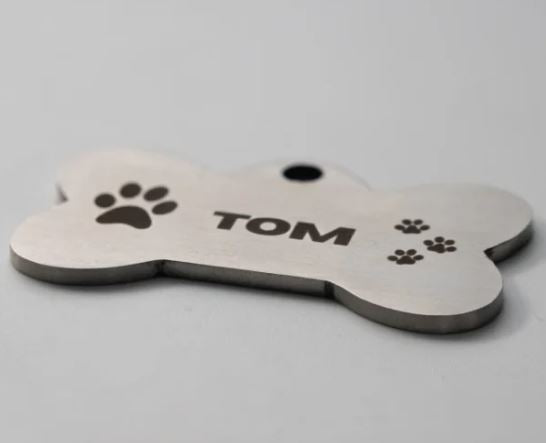 Explore Oasis Customizied Front & Back Printed Pet Tags - Unisex Bone Shape White